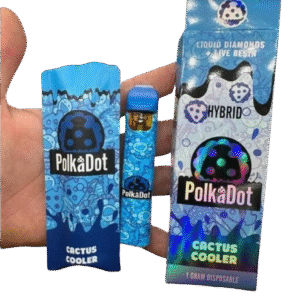 Polkadot Cactus Cooler