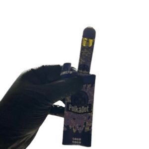 Polkadot Loco Coco